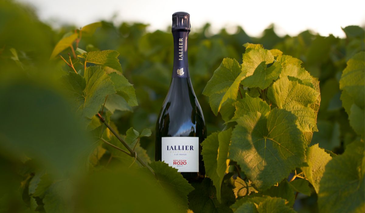 Christmas gift guide for wine and spirit lovers